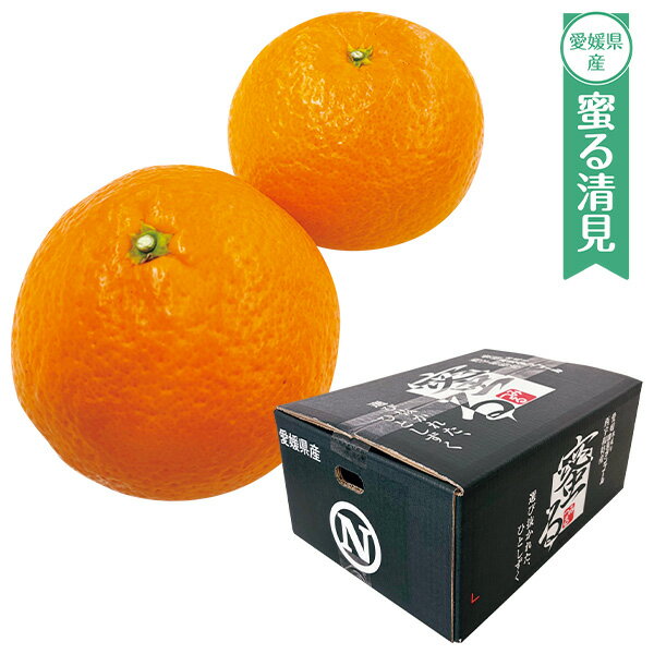 プチギフト 出産祝い 内祝い 結婚祝い フルーツ 食べ物 愛媛県産 蜜る清見 出産内祝い 内祝 香典返し 2026 送料無料 贈答用 詰め合わせ お取り寄せ