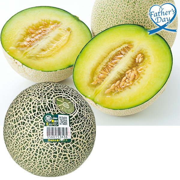 父の日 プレゼント ギフト フルーツ 食べ物 茨城県産 旭村 青肉メロン メッセージカード 父の日ギフト 父の日2026 送料無料 贈答用 詰め合わせ お取り寄せ 人気 高級 家族 両親 お祝い 御祝 お礼 御礼