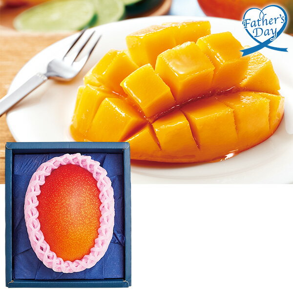 父の日 プレゼント ギフト フルーツ 食べ物 宮崎県産 マンゴー メッセージカード 父の日ギフト 父の日2026 送料無料 贈答用 詰め合わせ お取り寄せ 人気 高級 家族 両親 お祝い 御祝 お礼 御礼