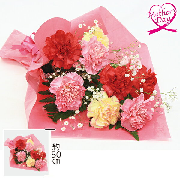 母の日 プレゼント ギフト カーネーション 花束 花 花束『大輪カーネーション』 メッセージカード 母の日ギフト 母の日2026 送料無料 贈答用 詰め合わせ お取り寄せ 人気 高級 家族 両親 お祝い 御祝 お礼 御礼