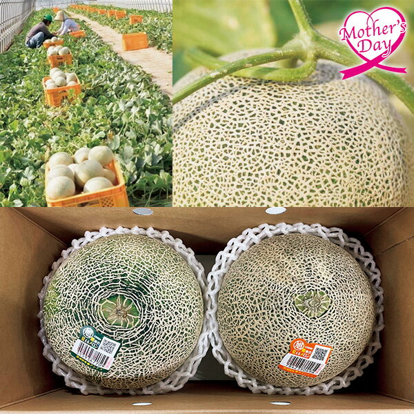 母の日 プレゼント ギフト フルーツ 食べ物 茨城県産 旭村 青肉・赤肉メロンセット メッセージカード 母の日ギフト 母の日2026 送料無料 贈答用 詰め合わせ お取り寄せ 人気 高級 家族 両親 お祝い 御祝 お礼 御礼