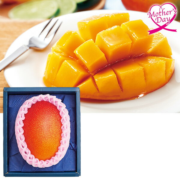 母の日 プレゼント ギフト フルーツ 食べ物 宮崎県産 マンゴー メッセージカード 母の日ギフト 母の日2026 送料無料 贈答用 詰め合わせ お取り寄せ 人気 高級 家族 両親 お祝い 御祝 お礼 御礼