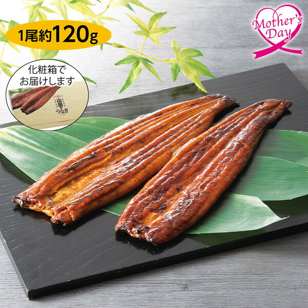 母の日 プレゼント ギフト グルメ 鰻 セット 食べ物 山田水産 鹿児島県産 山田のうなぎ長焼セット（化粧箱入）2尾 メッセージカード 母の日ギフト 母の日2026 送料無料 贈答用 詰め合わせ お取り寄せ 人気 高級 家族 両親 お祝い 御祝 お礼