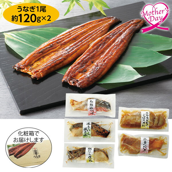 樂天商城 - 母の日 プレゼント ギフト グルメ 鰻 魚 セット 食べ物 山田水産/五和 鹿児島県産 山田のうなぎ長焼2尾と煮焼き魚5種セット（化粧箱入） メッセージカード 母の日ギフト 母の日2026 送料無料 贈答用 詰め合わせ お取り寄せ 人気 高級 家族 両親