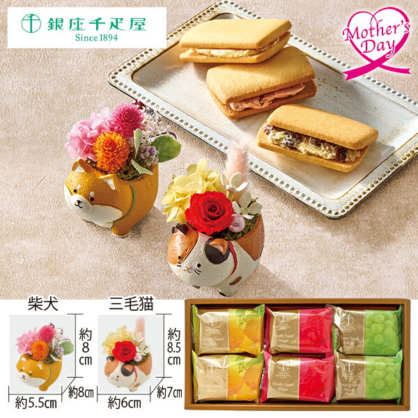 母の日 スイーツ プレゼント ギフト プリザーブドフラワー スイーツ 花 アニマルプリザと「銀座千疋 ...