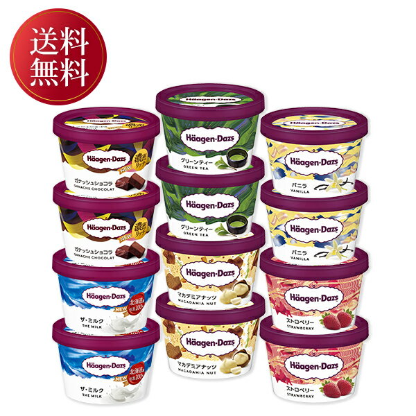 お中元 夏ギフト アイスクリーム 食べ比べ ハーゲンダッツ ミニカップ12個セッ