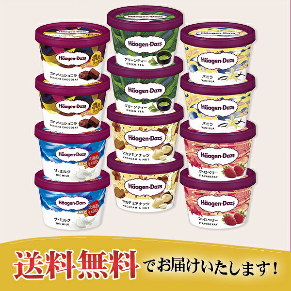 お中元 夏ギフト アイスクリーム 食べ比べ ハーゲンダッツ ミニカップ12個セット ...
