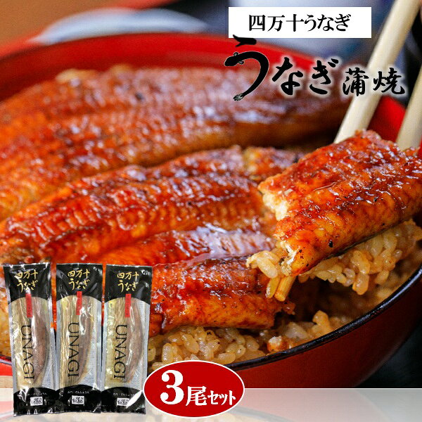 ・商品写真はイメージです。・手提げ紙袋のご要望は対応いたしかねます。・産直品は複数個ご注文でも1点ずつ発送されます。ギフト 鰻 うなぎ グルメ 四万十うなぎ 蒲焼3尾セット プレゼント お取り寄せ 高級 人気ギフト 鰻 うなぎ グルメ 四万十うなぎ 蒲焼3尾セット プレゼント お取り寄せ 高級 人気日本最後の清流・四万十川。その河口でとれたシラスウナギに限定し、四万十川流域の清澄な地下水で四万十青のりや納豆菌をまぶしたおから等を混ぜたこだわりのエサを与え、より天然に近い環境で大切に育てた鰻です。創業以来50年以上受け継いだタレで4回つけ焼きし、最後に四万十産の炭を使用した炭火でしっかり香ばしく焼き上げました。3尾セットになります。【商品内容】蒲焼(110g・高知県産)×3、蒲焼のたれさんしょう付(たれ15ml・山椒0.2g)×3[賞味期限:冷凍180日]