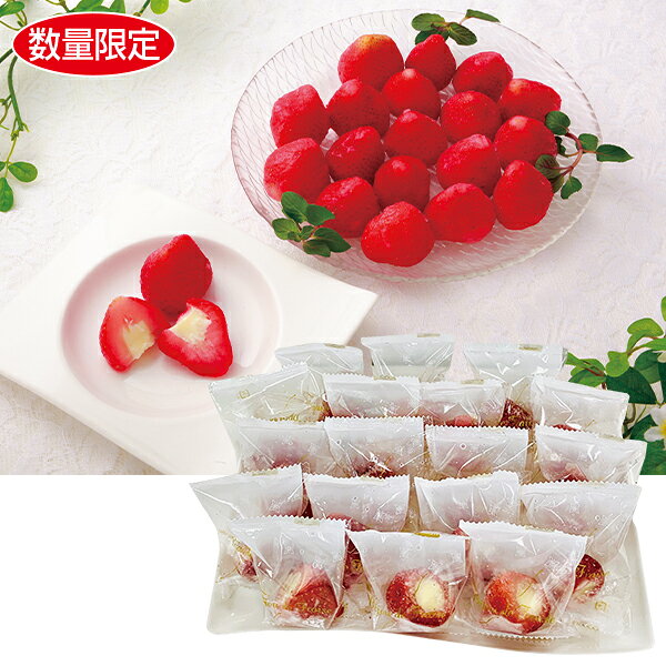 Strawberry - お中元 夏ギフト アイス スイーツ スルー 苺の宝石箱 型番:S-32 御中元 中元 2026 送料無料 夏 贈答用 詰め合わせ お取り寄せ 中元ギフト 人気 高級 上司 友人 親戚 家族 両親 同僚 内祝い お祝い 御祝 お礼 御礼