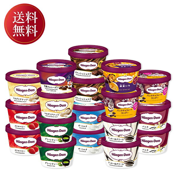 お歳暮 早割 クーポン 冬ギフト スイーツ アイス 食べ比べ ハーゲンダッツ 堪能セット 離島不可 御歳暮 歳暮 2026 送料無料 冬 贈答用 詰め合わせ お取り寄せ お歳暮ギフト 人気 高級 上司 友人 親戚 家族 両親 同僚 内祝い お祝い 御祝 お礼 御礼 inageya320-10014172 いなげや楽天市場店 パッケージ画像