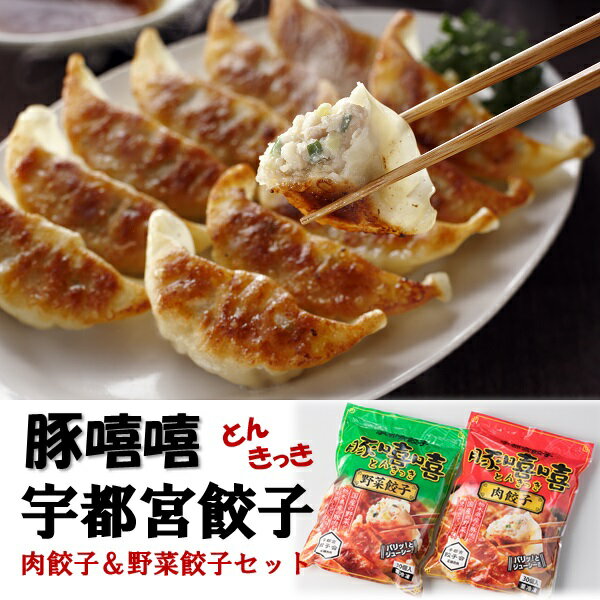 送料無料 フタバ食品 とんきっき 肉餃子＆野菜餃子 計2袋セット ギフト可 のし対応可 惣菜 ギフト