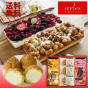 ギフト スイーツ 洋菓子 北海道 ベイクド・アルル 2種のケーキとカスタードシューのセット プレゼント お取り寄せ 高級 人気