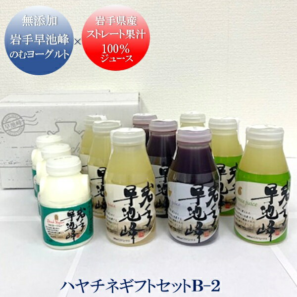 ギフト ジュース ドリンク JAグリーンサービス花巻 ハヤチネギフトセットB-2 人気 高級 お取り寄せ