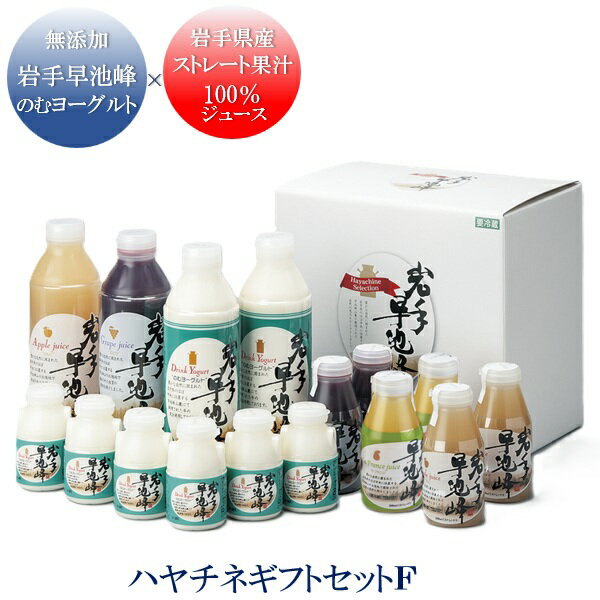 ギフト ジュース ドリンク JAグリーンサービス花巻 ハヤチネギフトセットF 人気 高級 お取り寄せ