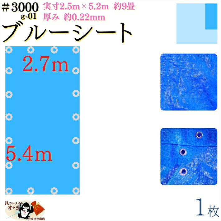 【 ブルーシート 厚手 防水 #3000 2.7×5.4 m 1枚入 】 実寸 2.5×5.2m 厚み 約0.22mm 広さ 約 9畳 材質 PE ポリエチレン カラー ブルー 青 アルミ ハトメ 付 間隔 約90cm×18個