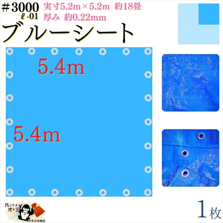 【 ブルーシート 厚手 防水 #3000 5.4×5.4 m 1枚入 】 実寸 5.2×5.2m 厚み 約0.22mm 広さ 約 18畳 材質 PE ポリエチレン カラー ブルー 青 アルミ ハトメ 付 間隔 約90cm×24個