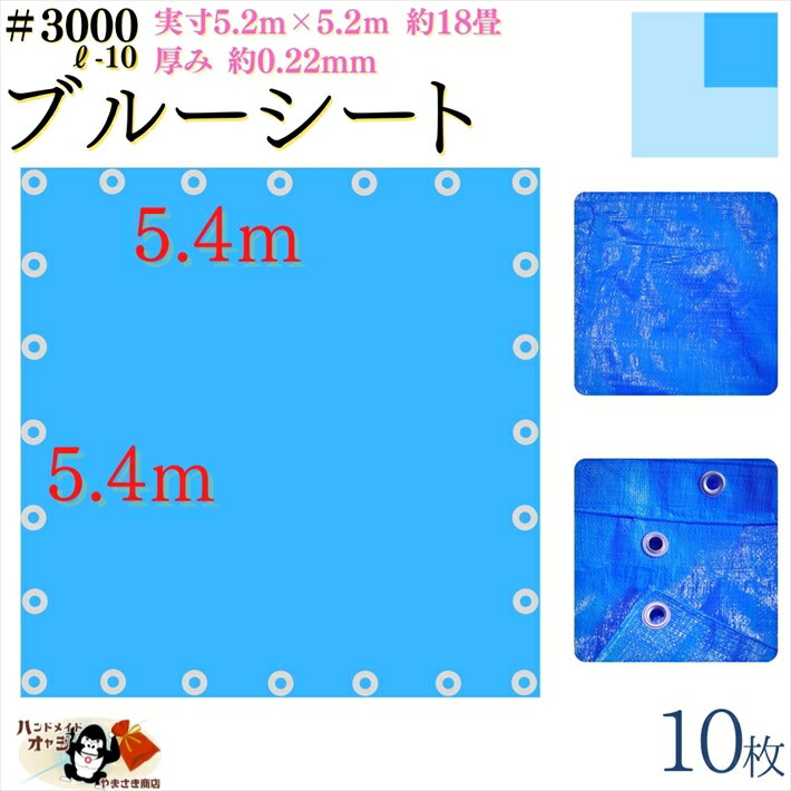 【 ブルーシート 厚手 防水 #3000 5.4×5.4 m 10枚入 】 実寸 5.2×5.2m 厚み 約0.22mm 広さ 約 18畳 材質 PE ポリエチレン カラー ブルー 青 アルミ ハトメ 付 間隔 約90cm×24個