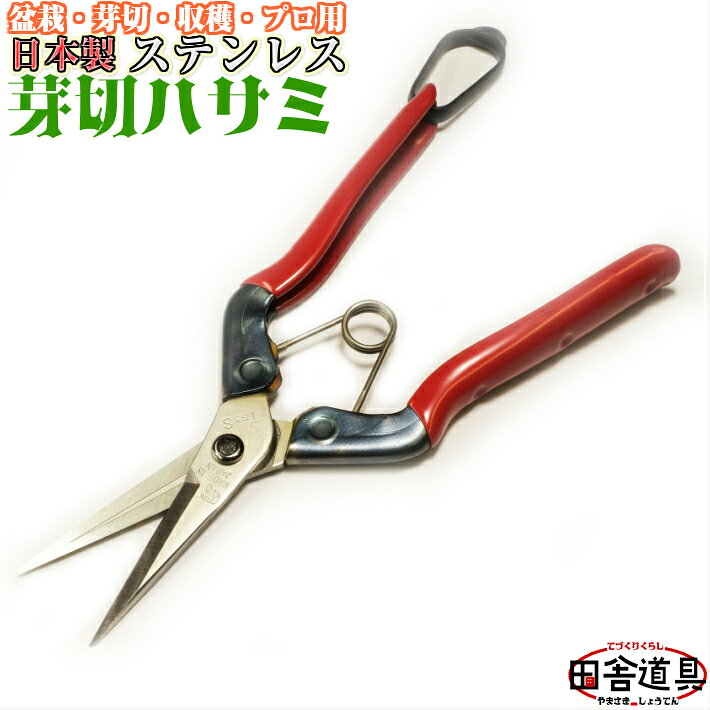 チカマサ ステンレス 芽切鋏 T-550S 園芸鋏
