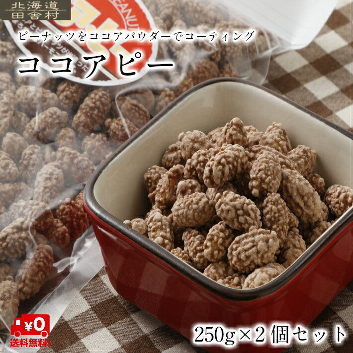 ココアピー 250g×2パックセット 【メール便送料無料】 ココアピーナッツ ナッツ なっつ ここあぴーなっつ 落花生のサムネイル