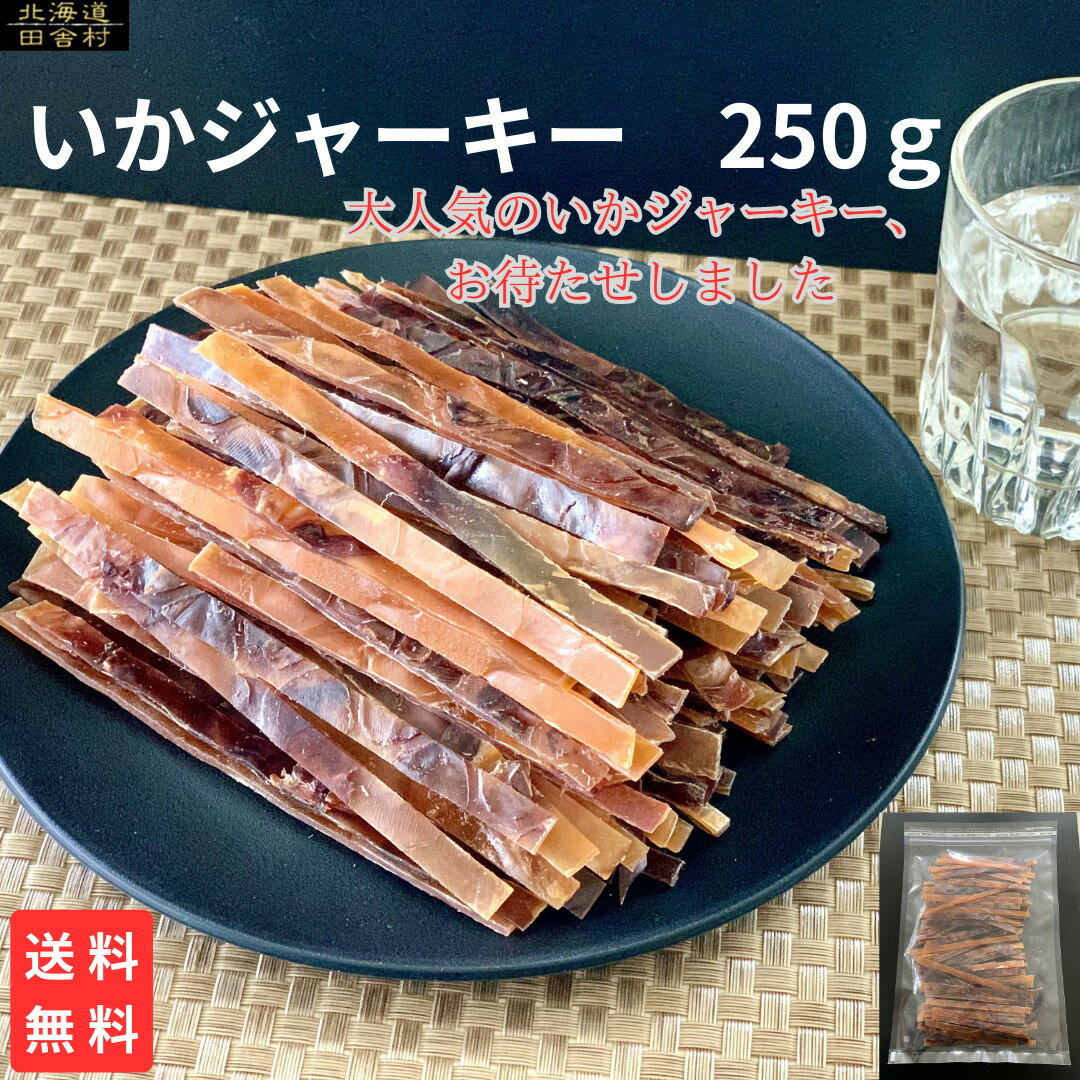 いかジャーキー　250g 送料無料 イカ