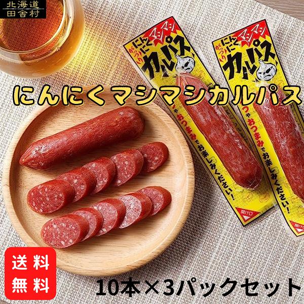 サラミ にんにくマシマシカルパス 30本セット 【送料無料】 ドライソ−セージ サラミ おつまみ 珍味