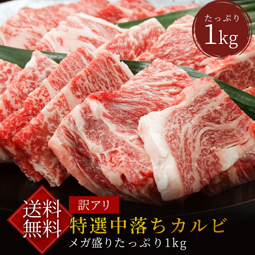 霜降り中落ち牛カルビ たっぷり1kg【中落ち・焼肉・冷凍・牛肉・わけあり・大容量】