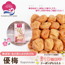 お得なクーポン配布中! 減塩・無添加 梅干し 優梅 塩分約10% ご家庭用 500g 健康志向 うめぼし 和歌山県産 食材〈梅〉紀州南高梅 和歌山 いなみの里梅...