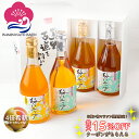 お得なクーポン配布中! 希釈用梅ドリンク 梅ジュース 梅ハニップセット 4倍希釈 590g 熱中症対策 夏バテ防止 美肌 美容効果 疲労回復 umeboshi ハイボール かき氷シロップ おうちモクテル 青梅ジュース うめじゅーす 原液 紀州産青梅果汁使用 和歌山