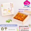 お得なクーポン配布中! ギフト 無添加 梅干し 白干 塩分約15% 1kg 紙木箱入り 紀州南高梅 白梅干し すっぱい 昔ながらの ぎふと ギフト女性 御中元 お中元 お歳暮 お中元 ギフト 贈り物 お礼 贈り物 喜ばれる 和歌山 いなみの里梅園 送料無料 umeboshi