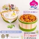 お得なクーポン配布中! ギフト 無添加 梅干し 白干 塩分約15% 500g 木樽入り 紀州南高梅 白梅干し すっぱい 昔ながらの ぎふと ギフト女性 御中元 お中元 お歳暮 お中元 ギフト 贈り物 お礼 贈り物 喜ばれる 和歌山 いなみの里梅園 送料無料 umeboshi