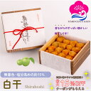 お得なクーポン配布中! ギフト 無添加 梅干し 白干 塩分約15% 800g 焼杉木箱入り 紀州南高梅 白梅干し すっぱい 昔ながらの ぎふと ギフト女性 御中元 お中元 お歳暮 お中元 ギフト 贈り物 お礼 贈り物 喜ばれる 和歌山 いなみの里梅園 送料無料 umeboshi