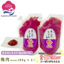お得なクーポン配布中! 梅肉 きざみしそ入り 塩分約13% 180g 練り梅 ねりうめ 赤しそ漬け しそ梅 うめぼし 和歌山県産 食材〈梅〉紀州南高梅 いなみの里梅園 送料無料 免疫力UP 花粉症対策 アレルギー umeboshi 調味料 お取り寄せ グルメ