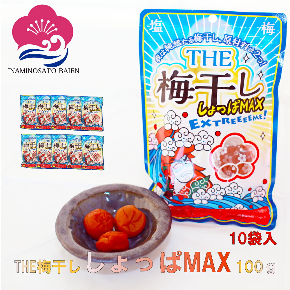 【マラソン期間中ポイント5倍!】 持ち運べる! 個包装 超塩辛いしょっぱい梅干し THE 梅干ししょっぱMAX 白干 小袋 塩分約20% 1kg (100g×10) 塩分補給 ミネラル補給 熱中症対策 umeboshi