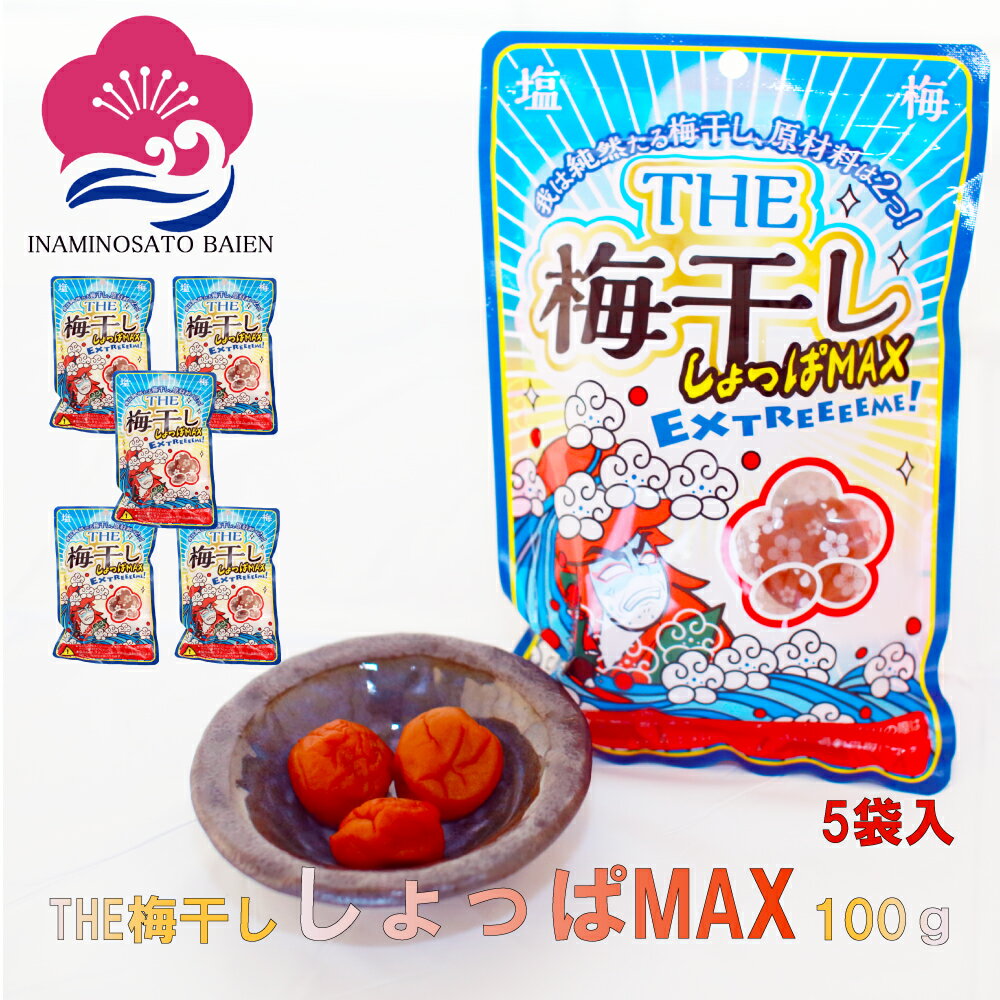 ٤롪  ĶɤäѤߴ THE ߴäMAX   ʬ20 500g 100g5 ʬ...