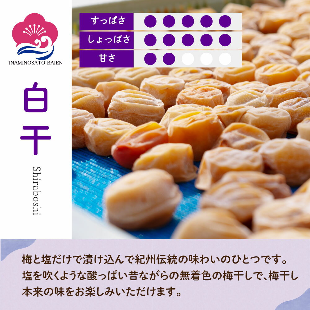 ★まとめ買い★　桃屋　味付ザーサイ　100g瓶　×48個【イージャパンモール】