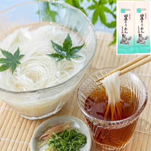 【320g】 稲庭 古来 そうめん 160g 2袋 極細 油 不使用 寒水 寒づくり 1,000円 ポッキリ ふるさと納税 返礼品 乾麺 ギフト 中元 歳暮 【320g】 稲庭 古来 そうめん 160g 2袋 極細 油 不使用 寒水 寒づくり 1,000円 ポッキリ ふるさと納税 返礼品 乾麺 ギフト 中元 歳暮