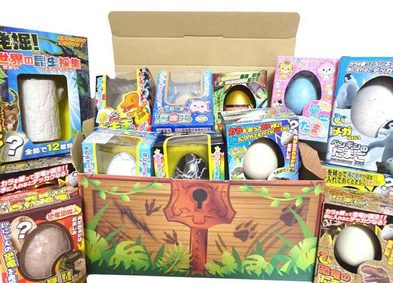 ˤλҸ 8ĥåȡۿ礭ʤ εΤޤ ȯå  ʪ ͤ碌 Ȣ Ԥ ɥ٥㡼