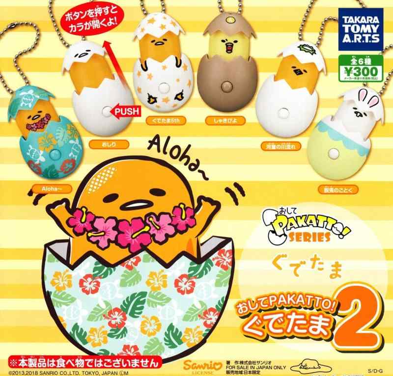 PAKATTO Ǥ2 6糧å(ե륳)