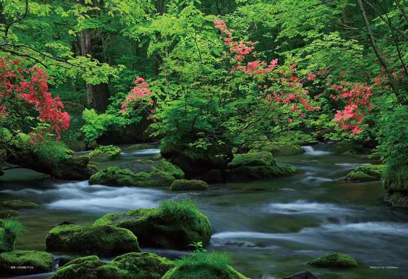 やのまん(Yanoman) 【日本製】108ピース ジグソーパズル ラージピース 日本風景 涼感を呼ぶ奥入瀬渓流 青森 (26x38cm) 01-2086 ピース..