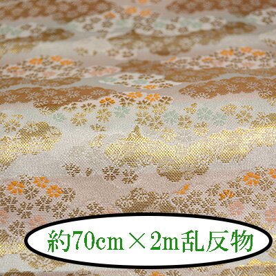 ؿȿʪ 70cm2m  ؿ  ȿʪ 2m INAZUMA 