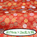 wDE 70cm~2m s wD E  2m INAZUMA t