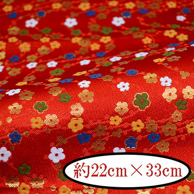 ؿ  åȥ  2233cm 1 SS-306