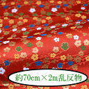 wDE 70cm~2m s wD E  2m INAZUMA t