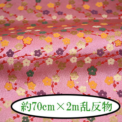ؿȿʪ 70cm2m  ؿ  ȿʪ 2m INAZUMA 