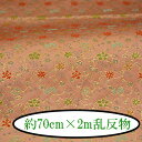 wDE 70cm~2m s wD E  2m INAZUMA t