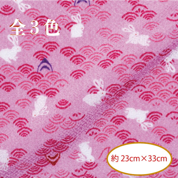 󥫥åȥ 23cm33cm       2023ǯ 
