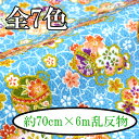 ߂ʔ 70cm~6m s ߂ n [   INAZUMA  t