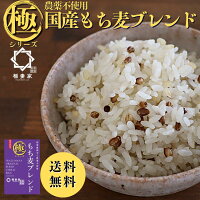 ＼お買い物マラソンポイント5倍／ もち麦 500g (250g2袋) 雑穀米 混ぜるだけ 国産 おすすめ 雑穀 プロテイン おいしい ダイエット パック 玄米 無添加 食べ物 健康食品 料理 食物繊維 結婚 お米 米 ギフト 無添加 古代米 結婚式 個包装 お礼 女性 プチギフト