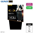 ライザップ ガードル レディース 年間 グンゼ 薄手 補整ボトム 5分丈 補正下着 ヒップアップ アンダーボトム お腹おさえ ぽっこりお腹 美尻 重ね履き用 ひ...