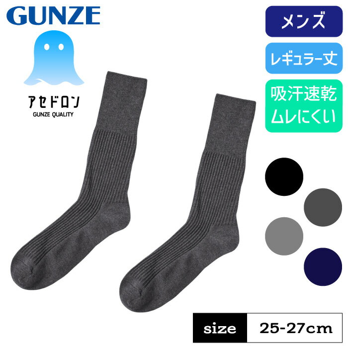 グンゼ アセドロン ソックス メンズ 靴下 ボーダー 消臭 ビジネス 春夏 レギュラー丈 吸汗速乾 オリジナル素材 ムレにくい 足底かのこ GUNZE 25-27のサムネイル